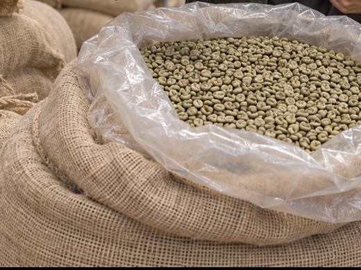 Green coffee beans in an open, plastic-lined jute sack, with more sacks stacked behind it.
